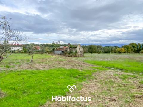 Quinta  para venda com 16.500 m² no centro de Mangualde – Oportunidade única!