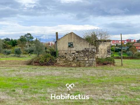Quinta  para venda com 16.500 m² no centro de Mangualde – Oportunidade única!