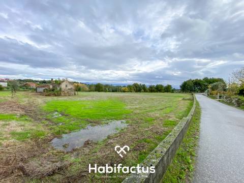 Quinta  para venda com 16.500 m² no centro de Mangualde – Oportunidade única!