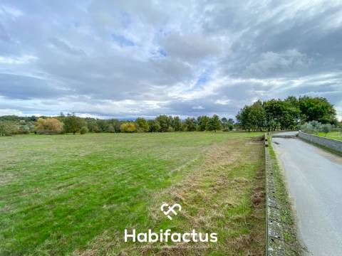Quinta  para venda com 16.500 m² no centro de Mangualde – Oportunidade única!