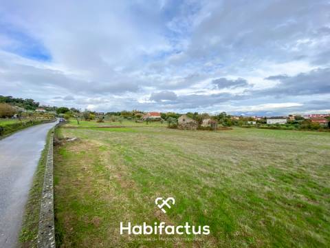 Quinta  para venda com 16.500 m² no centro de Mangualde – Oportunidade única!