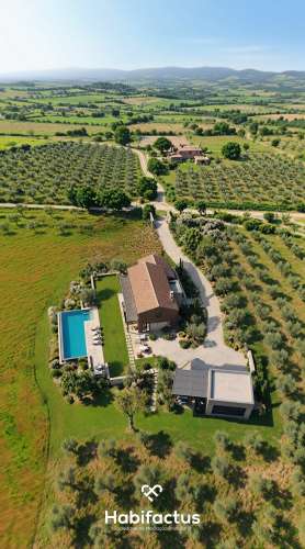 Quinta  para venda com 16.500 m² no centro de Mangualde – Oportunidade única!