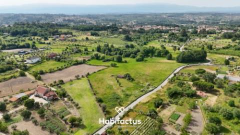 Quinta  para venda com 16.500 m² no centro de Mangualde – Oportunidade única!