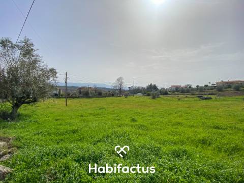 Quinta para Venda na Freguesia de Senhorim – Nelas - Viseu