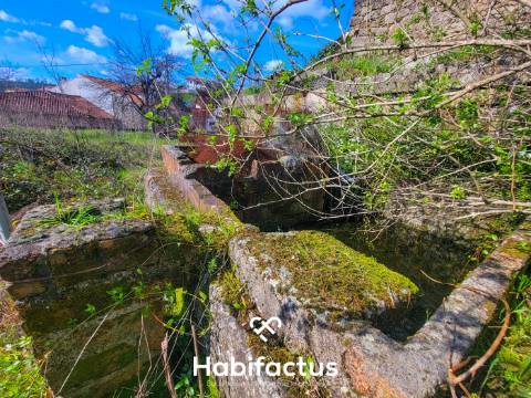 Moradia Isolada T3 Senhorial - Para Reconstrução á venda em Beijós - Carregal do Sal