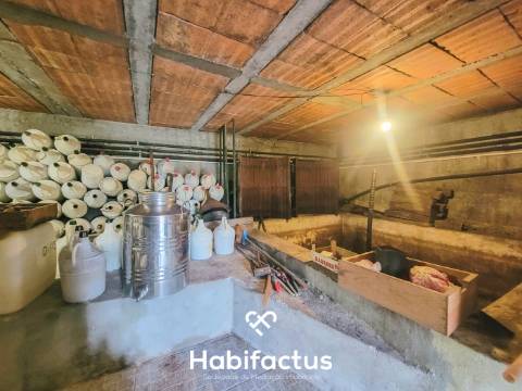 Moradia Isolada T3+2 inserida num Terreno Produtivo de 5.579 m2, á venda em Mangualde - Viseu
