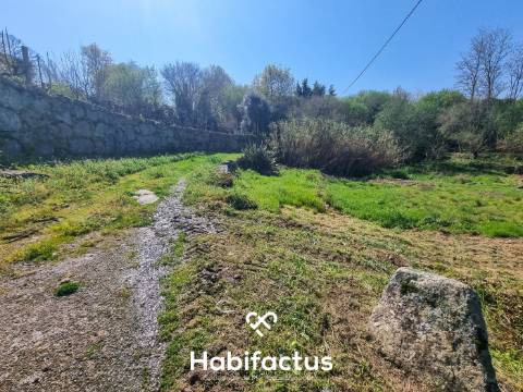 Quinta com 36 hectares para venda em Viseu.