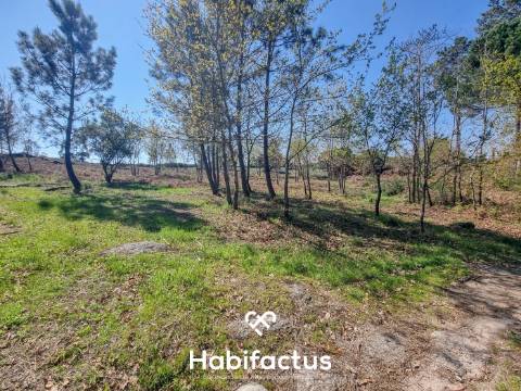 Quinta com 36 hectares para venda em Viseu.