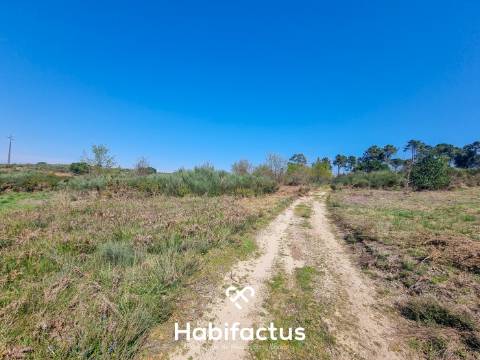 Quinta com 36 hectares para venda em Viseu.