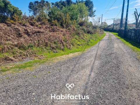 Quinta com 36 hectares para venda em Viseu.