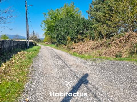 Quinta com 36 hectares para venda em Viseu.