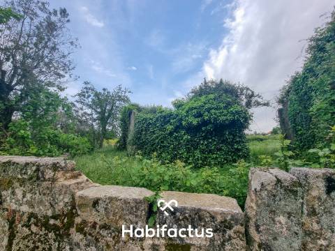 Quinta para venda em Silgueiros-Viseu