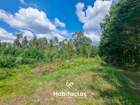 Terreno para venda em Sernada-Viseu