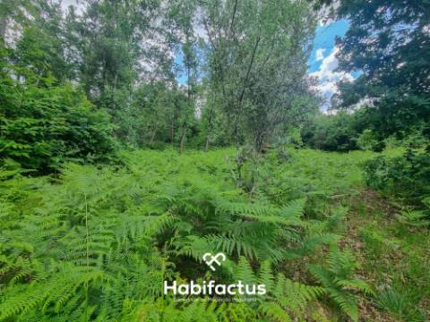 Terreno para venda em Sernada-Viseu