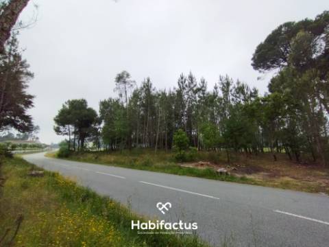 Terreno Agrícola à Venda em Nelas