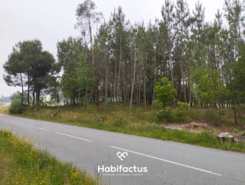 Terreno Agrícola à Venda em Nelas