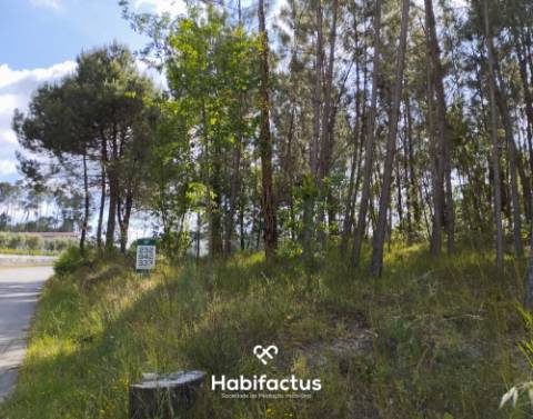 Terreno Agrícola à Venda em Nelas