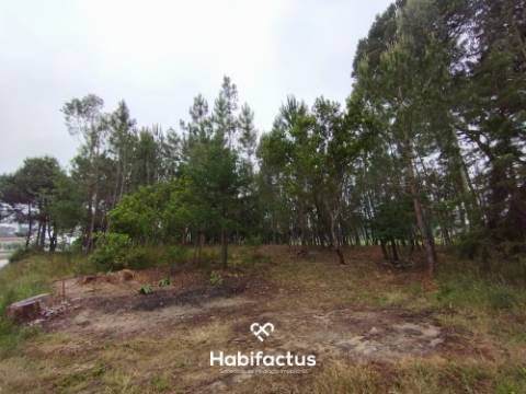 Terreno Agrícola à Venda em Nelas
