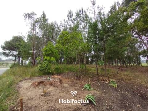 Terreno Agrícola à Venda em Nelas
