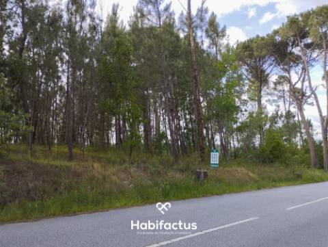Terreno Agrícola à Venda em Nelas