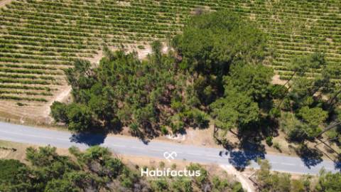 Terreno Agrícola à Venda em Nelas