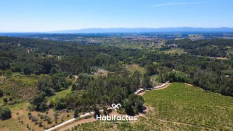 Terreno Agrícola à Venda em Nelas