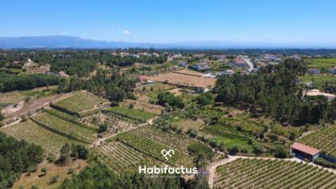 Terreno Agrícola à Venda em Nelas