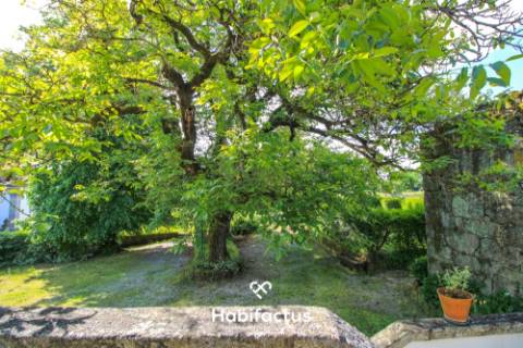 Quinta centenária, situada em Cabanas de Viriato - Viseu