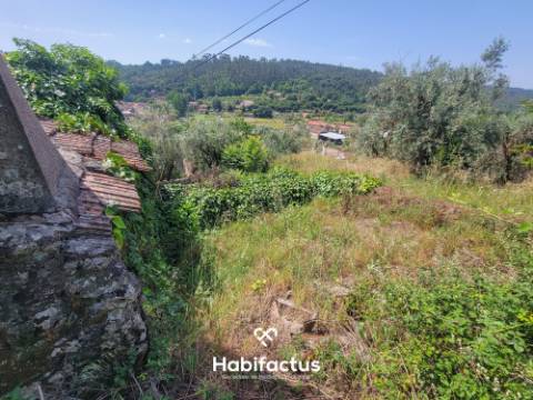Moradia Isolada T2, para Reconstrução, c/ Varanda e 2 Terrenos á Venda em Beijós - Carregal do Sal