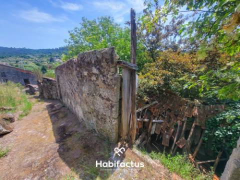 Moradia Isolada T2, para Reconstrução, c/ Varanda e 2 Terrenos á Venda em Beijós - Carregal do Sal