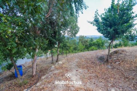 Lote de terreno urbano com 5003 m2 para venda em Santos Êvos
