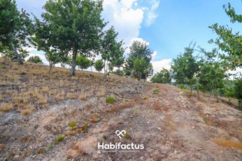 Lote de terreno urbano com 5003 m2 para venda em Santos Êvos