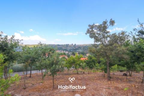 Lote de terreno urbano com 5003 m2 para venda em Santos Êvos