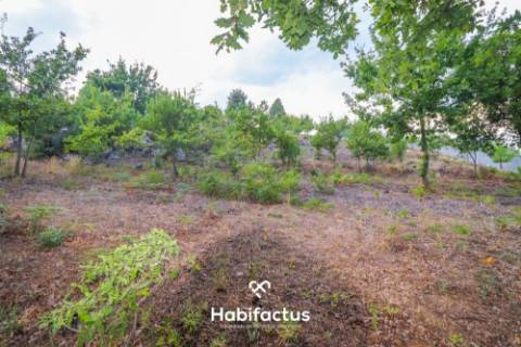 Lote de terreno Urbano de 2130 m2 para venda em Santos Evos