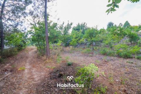 Lote de terreno Urbano de 2130 m2 para venda em Santos Evos