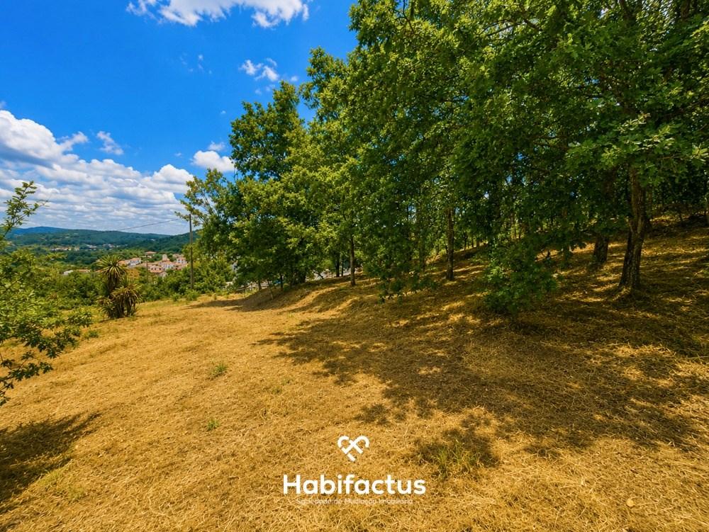 Terreno para construção - Viseu