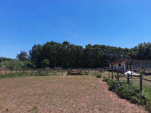 Terreno Rústico - Bencanta - Coimbra/Venda