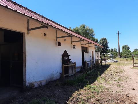 Terreno Rústico - Bencanta - Coimbra/Venda