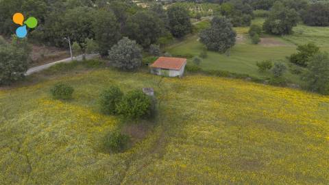 Quinta - Boidobra