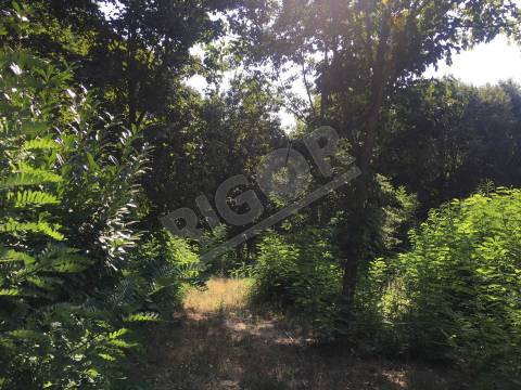 Terreno de 7 hectares com 3 casas em pedra para restauro