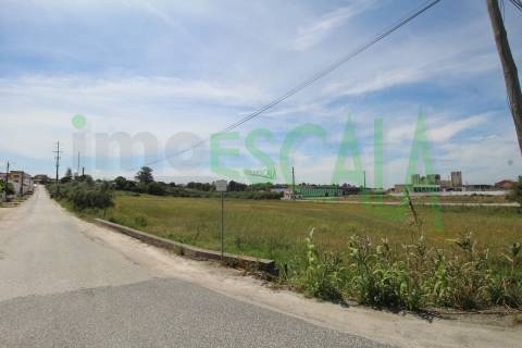 Terreno Para Construção  Venda em Vila Chã de Ourique,Cartaxo