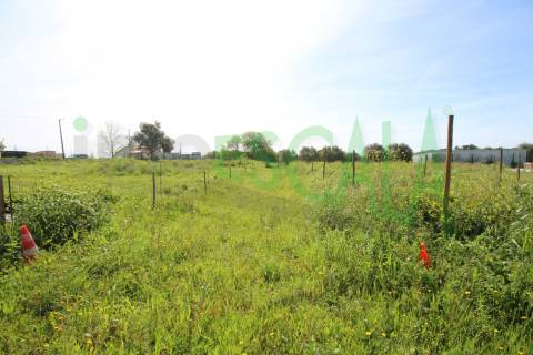 Terreno de 4960 m2 na Moita do Lobo em Manique do Intendente
