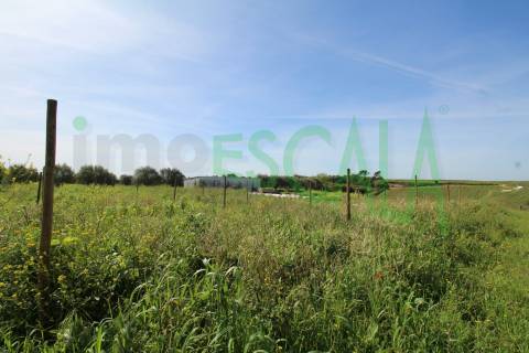 Terreno de 4960 m2 na Moita do Lobo em Manique do Intendente