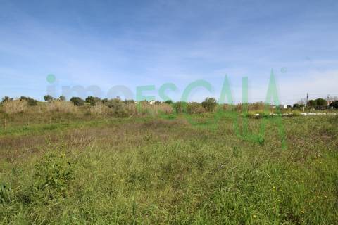 Terreno de 4960 m2 na Moita do Lobo em Manique do Intendente