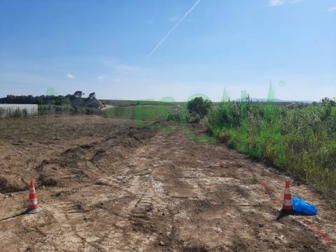 Terreno de 4960 m2 na Moita do Lobo em Manique do Intendente