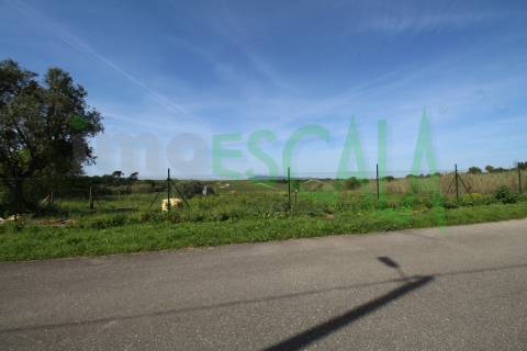 Terreno de 4960 m2 na Moita do Lobo em Manique do Intendente