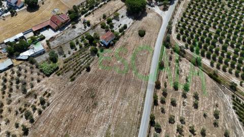 Terreno com área total de 6720 m² no Cartaxo