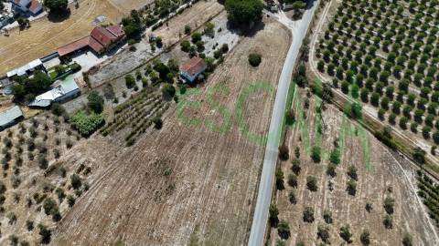 Terreno com área total de 6720 m² no Cartaxo