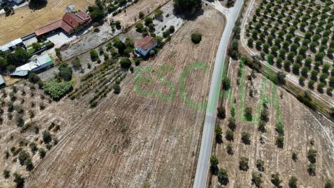 Terreno com área total de 6720 m² no Cartaxo