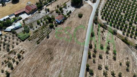 Terreno com área total de 6720 m² no Cartaxo